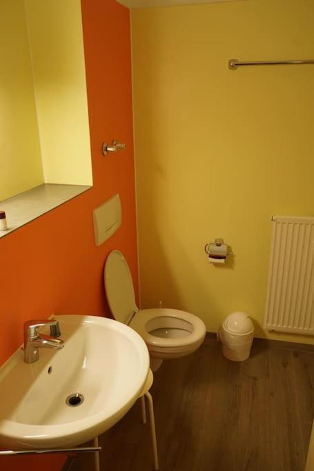 Appartement Mit Bademantelgang 바트그리스바흐 외부 사진